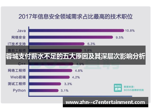 蓉城支付薪水不足的五大原因及其深层次影响分析 蓉城支付薪水不足的五大原因及其深层次影响分析
