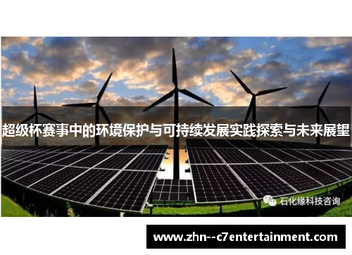 超级杯赛事中的环境保护与可持续发展实践探索与未来展望